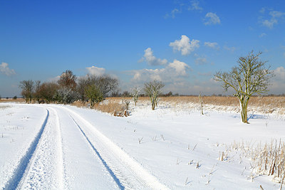 BUITEN BEELD Foto: 212330