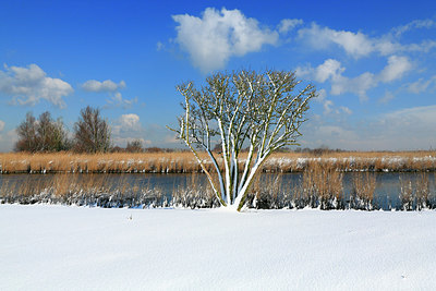 BUITEN BEELD Foto: 212340