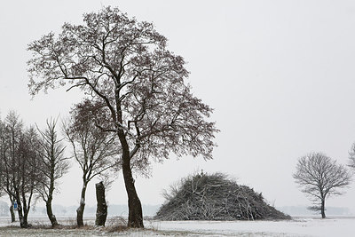 BUITEN BEELD Foto: 212357
