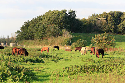 BUITEN BEELD Foto: 212361