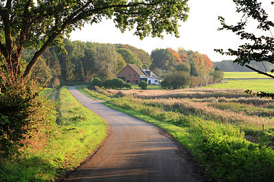 BUITEN BEELD Foto: 212362