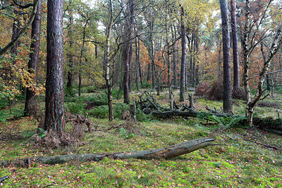 BUITEN BEELD Foto: 212365