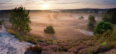 BUITEN BEELD Foto: 212372