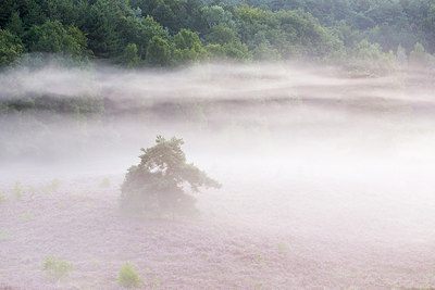 BUITEN BEELD Foto: 212374