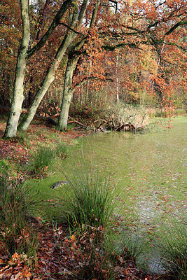 BUITEN BEELD Foto: 212412