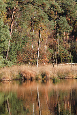 BUITEN BEELD Foto: 212415