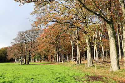 BUITEN BEELD Foto: 212417