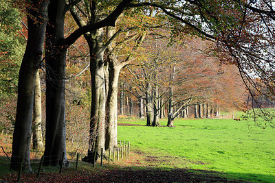BUITEN BEELD Foto: 212418
