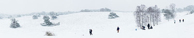 BUITEN BEELD Foto: 212474