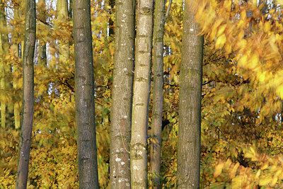 BUITEN BEELD Foto: 212478