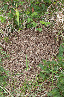 BUITEN BEELD Foto: 212567