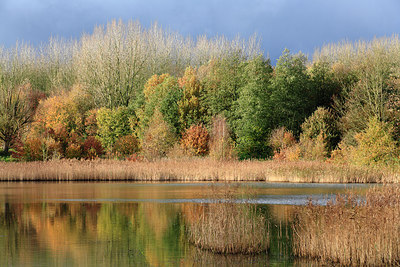 BUITEN BEELD Foto: 212633