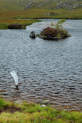 BUITEN BEELD Foto: 212646