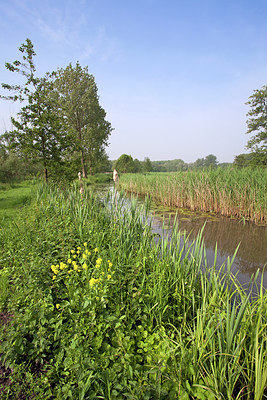 BUITEN BEELD Foto: 212793