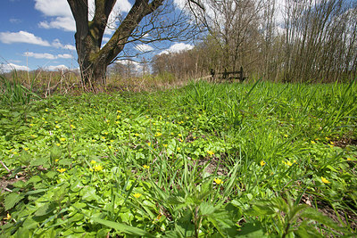 BUITEN BEELD Foto: 212794