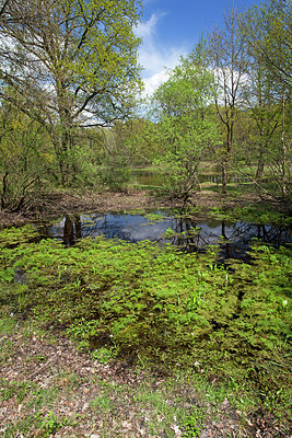 BUITEN BEELD Foto: 212801