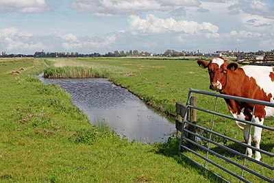 BUITEN BEELD Foto: 212806