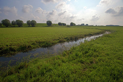 BUITEN BEELD Foto: 212808