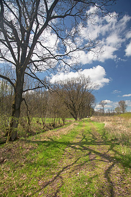 BUITEN BEELD Foto: 212819