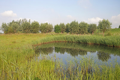 BUITEN BEELD Foto: 212829