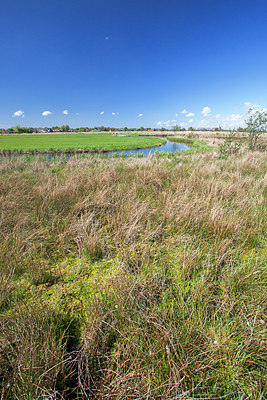 BUITEN BEELD Foto: 212833