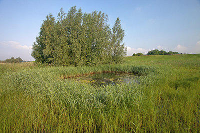 BUITEN BEELD Foto: 212836