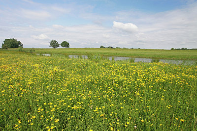 BUITEN BEELD Foto: 212850