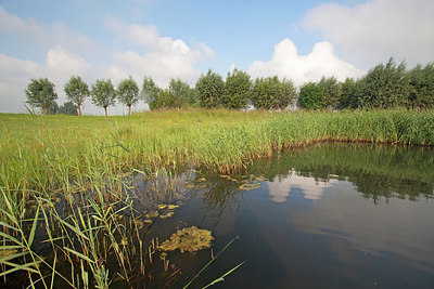 BUITEN BEELD Foto: 212859