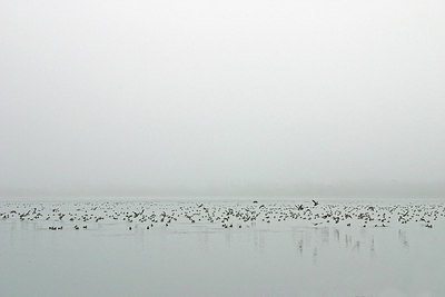 BUITEN BEELD Foto: 212866