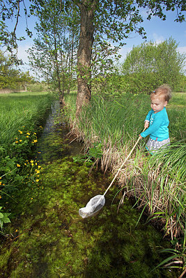 BUITEN BEELD Foto: 212875