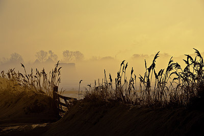 BUITEN BEELD Foto: 213180