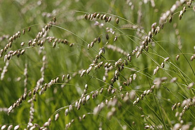 BUITEN BEELD Foto: 213201