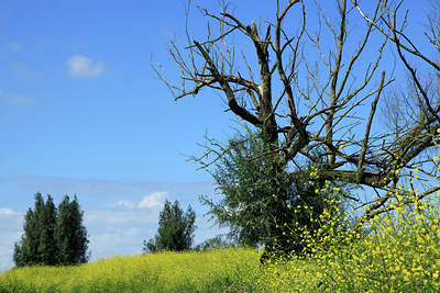 BUITEN BEELD Foto: 213239