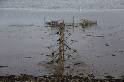 BUITEN BEELD Foto: 213267