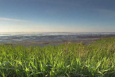 BUITEN BEELD Foto: 213275