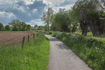 BUITEN BEELD Foto: 213297