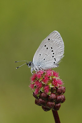 BUITEN BEELD Foto: 213353