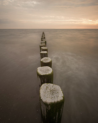 BUITEN BEELD Foto: 213367