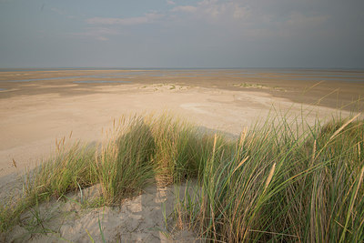 BUITEN BEELD Foto: 213373