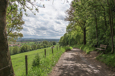 BUITEN BEELD Foto: 213465