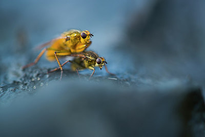 BUITEN BEELD Foto: 213495