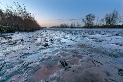 BUITEN BEELD Foto: 213502