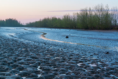 BUITEN BEELD Foto: 213521