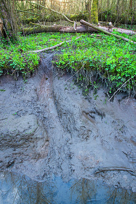 BUITEN BEELD Foto: 213540