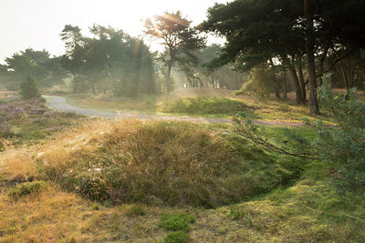 BUITEN BEELD Foto: 213579