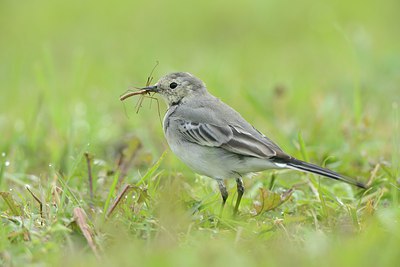 BUITEN BEELD Foto: 213603