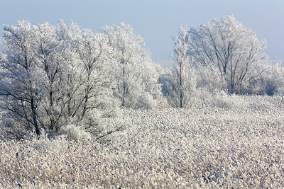 BUITEN BEELD Foto: 213608