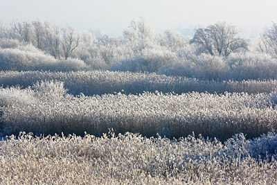 BUITEN BEELD Foto: 213610