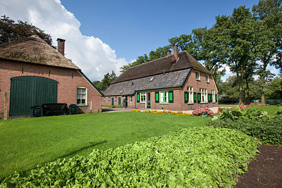 BUITEN BEELD Foto: 213715
