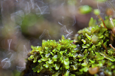 BUITEN BEELD Foto: 213772